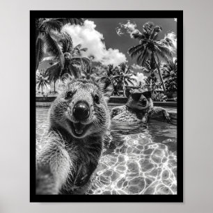 Poster Vacances de selfie en piscine de quokka animal drô
