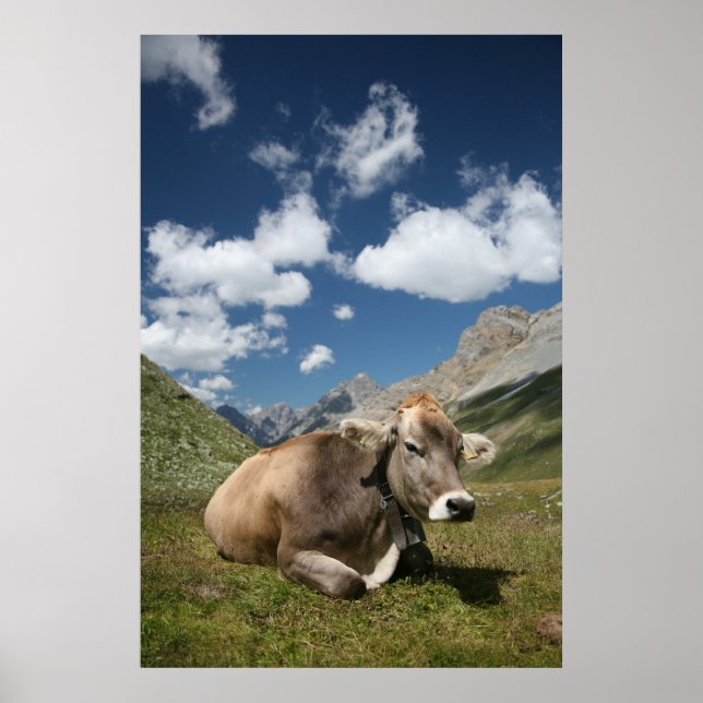 Poster Vache (Devant)