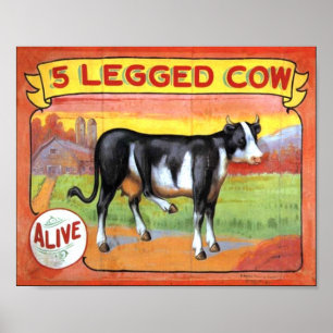 Poster Vache à cinq pattes