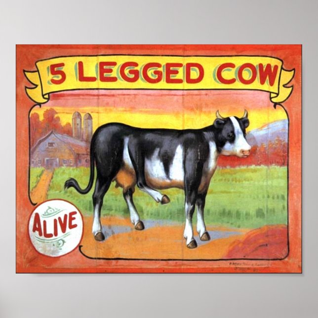 Poster Vache à cinq pattes (Devant)