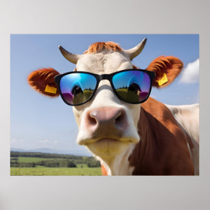 Poster Vache avec lunettes de soleil