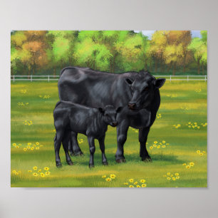 Poster Vache d'Angus noir et veau mou en pâturage d'été