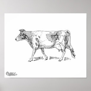 Poster Vache de Guernesey