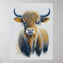 Vache écossaise des Highlands