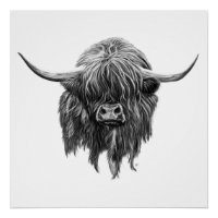 Vache Écossaise Highland En Noir Et Blanc