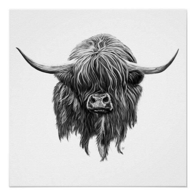 Poster Vache Écossaise Highland En Noir Et Blanc (Devant)