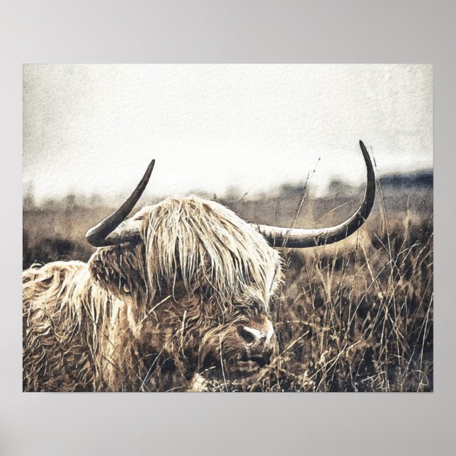 Poster Vache Highland (Devant)