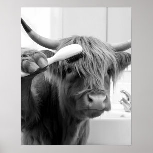 Poster Vache Highland avec brosse à cheveux drôle coiffeu