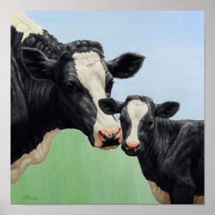 Poster Vache Holstein noire & veau mignon