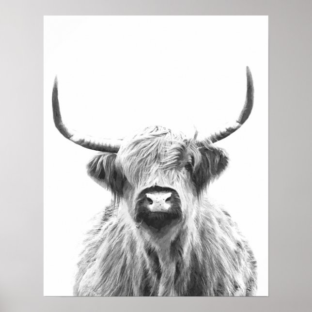 Poster Vache noire et blanche des Highlands (Devant)