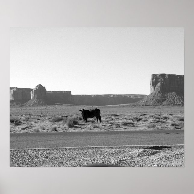 Poster Vache sur le côté de la route Monument Valley 16x2 (Devant)