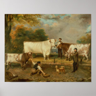 Poster Vaches avec un berger