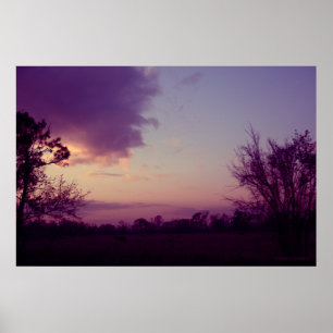 Poster Vaches dans le domaine