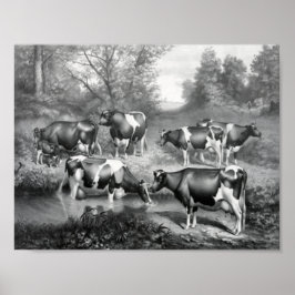 Poster Vaches dans les pâturages