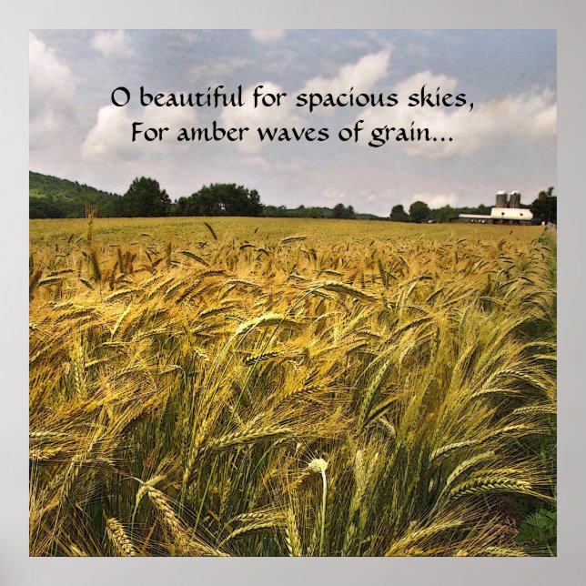 Poster Vagues d'ambre de céréales (Devant)