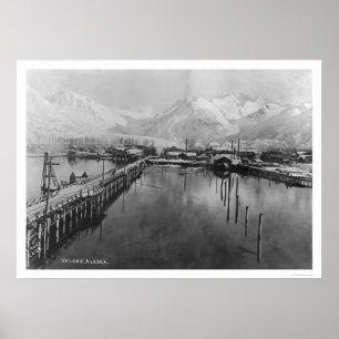 Poster Valdez, Alaska Birdseye 1905