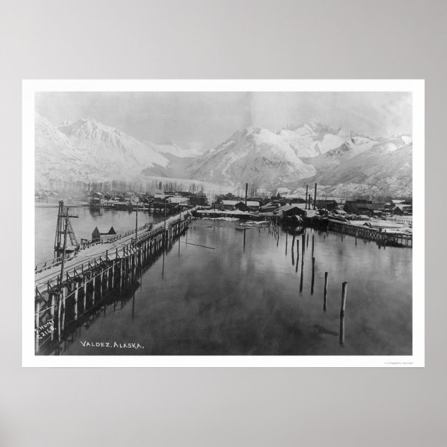 Poster Valdez, Alaska Birdseye 1905 (Devant)