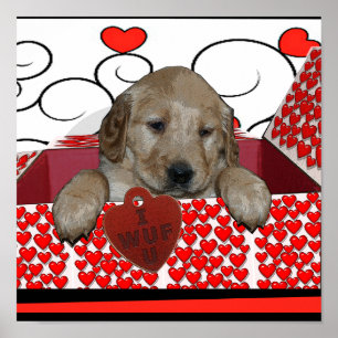 POSTER VALENTINE PUPPY - JE T'AI REGARDÉ ! (JE T'AIME) PO