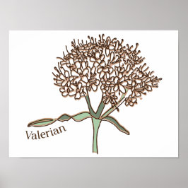 Poster valérien