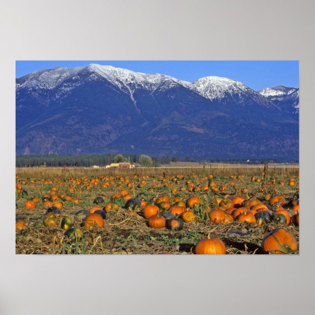 Poster Vallee de Flathead Montana aire de citrouilles (Devant)