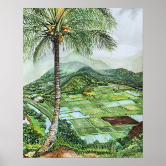 Poster Vallée de Hanalei 16x20M