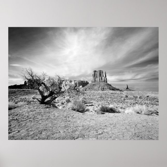Poster Vallée du Monument (Devant)