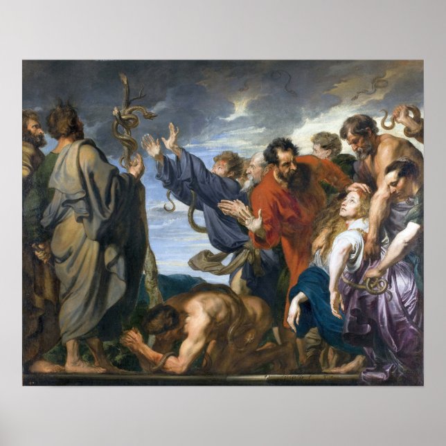 Poster Van Dyck - Le Serpent Brésilien (Devant)