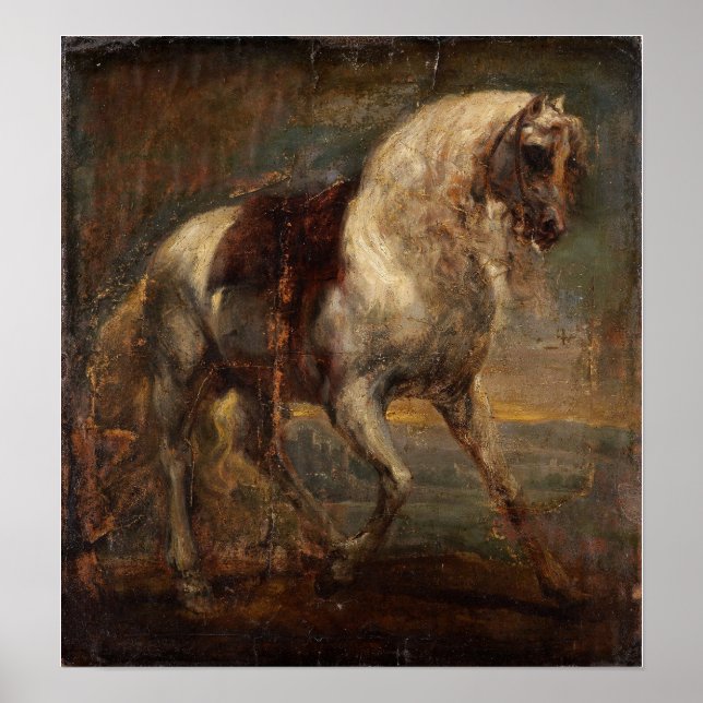 Poster Van Dyck - Un Cheval Gris (Devant)