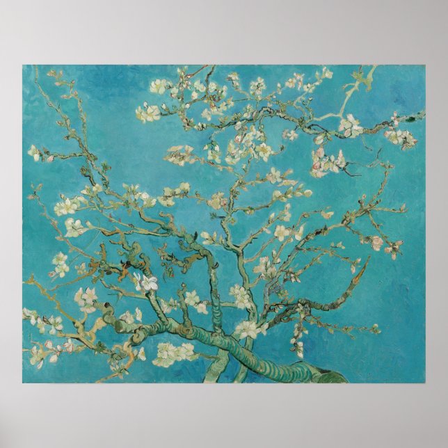 Poster Van Gogh Almond Blossoms (Devant)