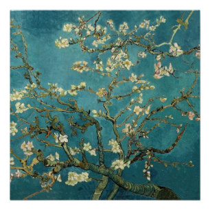 Poster Van Gogh - Amandier en fleurs
