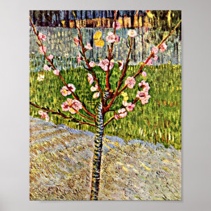 Poster Van Gogh - Arbre aux amandes en fleurs