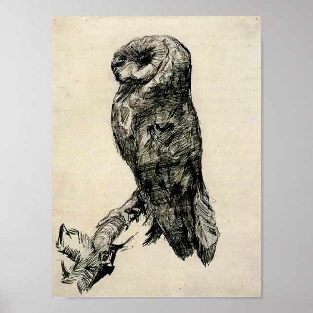 Poster Van Gogh - Barn Owl vu du côté (Devant)