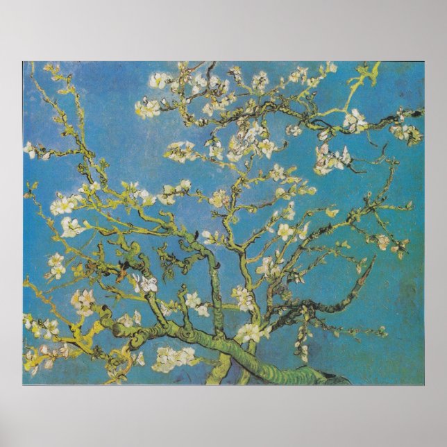 Poster Van Gogh Branches d'amande Imprimer (Devant)