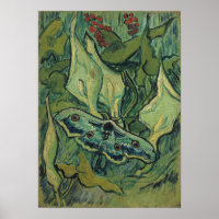 Van Gogh - Empereur Moth
