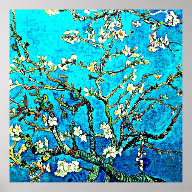 Poster Van Gogh - Fleurs d'amandes (Devant)