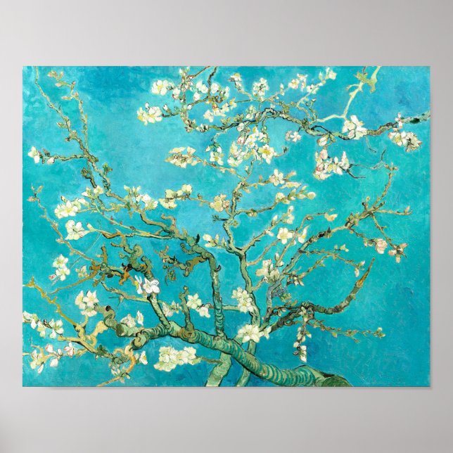 Poster VAN GOGH - Fleurs d'amandes (Devant)