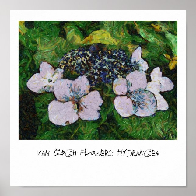 Poster Van Gogh Flowers : Hydrangea (Devant)