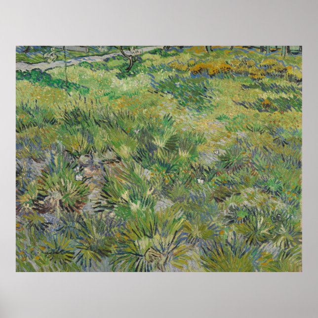 Poster Van Gogh, Herbe longue aux papillons (Devant)