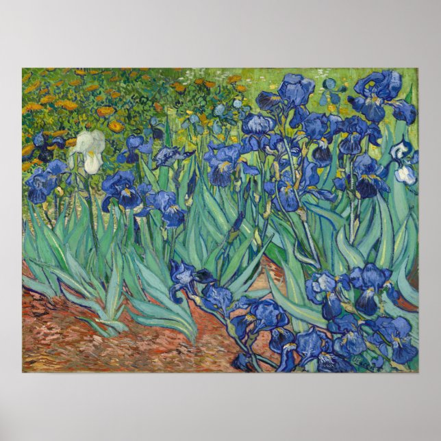 Poster Van Gogh - Iris (Devant)