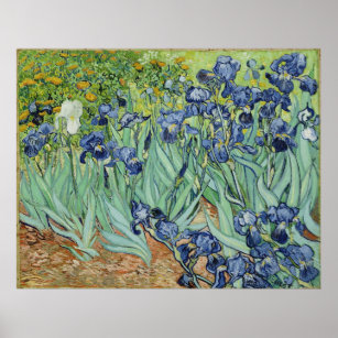 Poster Van Gogh Irises, Art Post impressionnisme Vintage