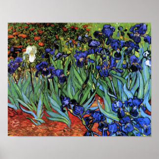 Poster Van Gogh Irises (F608) Art Vintage