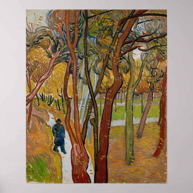 Poster Van Gogh - Le Jardin De L'Hôpital Saint Paul (Devant)