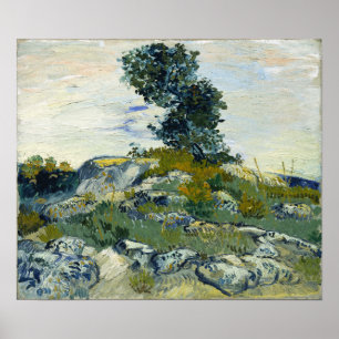 Poster Van Gogh - Les Roches