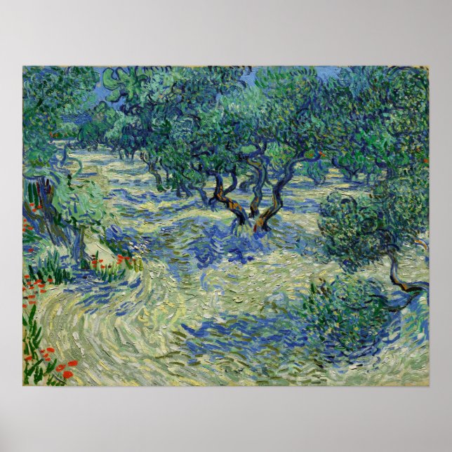 Poster Van Gogh - Olive Orchard (Devant)