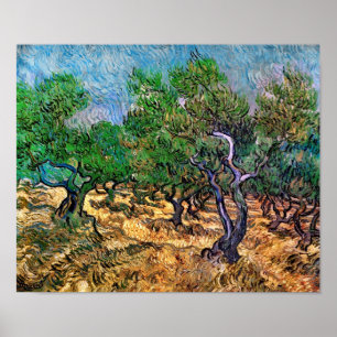 Poster Van Gogh - Oliveraie