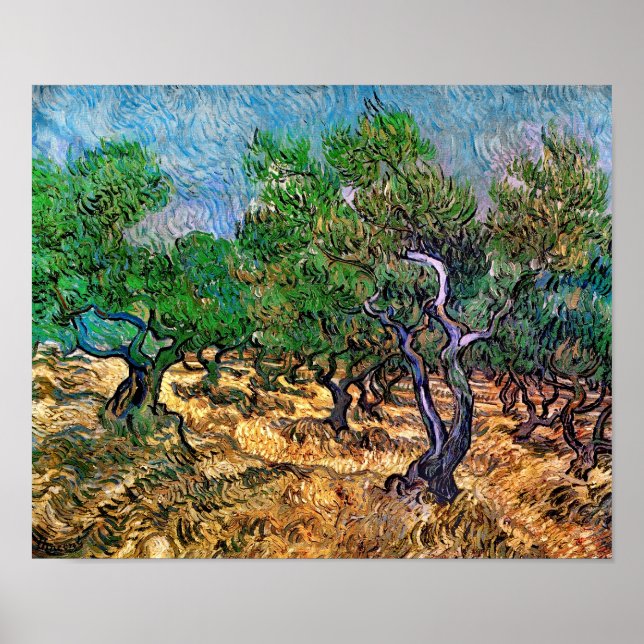 Poster Van Gogh - Oliveraie (Devant)