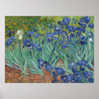 Van Gogh Peinture classique Irises Floral Botaniqu