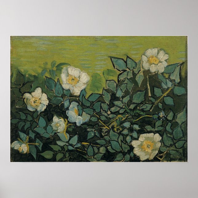 Poster Van Gogh - Roses sauvages (Devant)