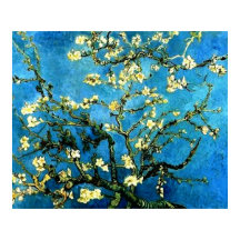 Poster VanGogh Almond Tree Blossoms