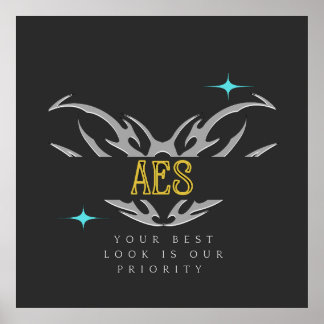 Poster Variante bleue AES